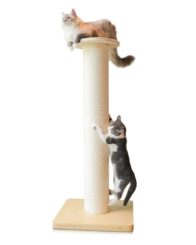 Cat scratching post - post, 50"