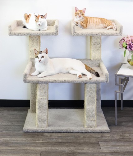 Prestige cat trees - trees, maine