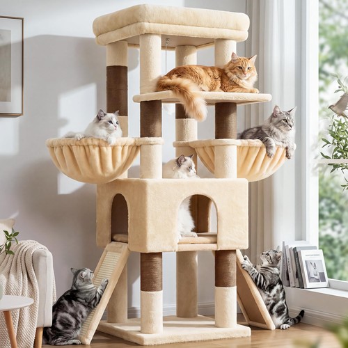 Maine coon cat tree - maine,