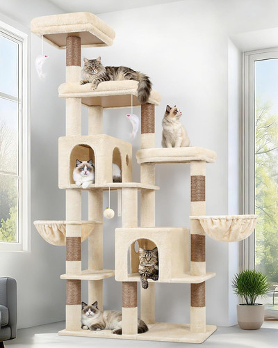 Large sturdy cat - cat, tree