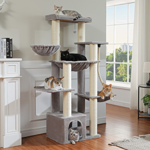 Maine coon cat tree - maine,